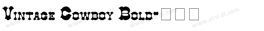 Vintage Cowboy Bold字体转换